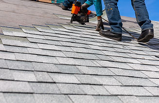 New Shingles