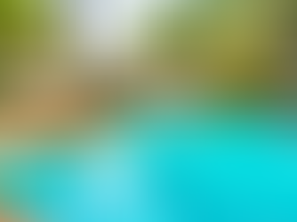 Custom Pool with Tanning Beds