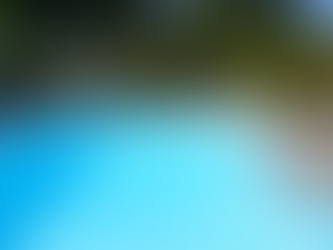 Kidney Shaped Pool with Patio Chairs