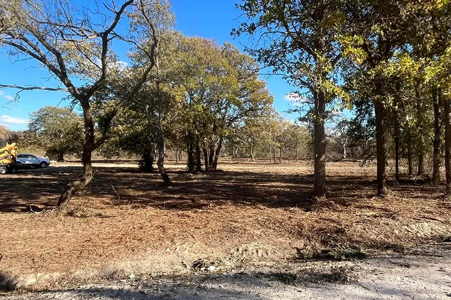 land clearing