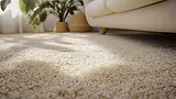 clean-carpet-with-couch.webp