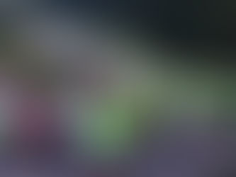 Meia Maratona das Cataratas: confira como será o funcionamento do parque