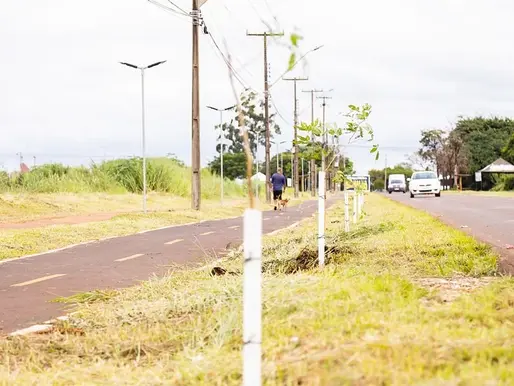 Prefeitura de Foz inicia o plantio de mil mudas de ipê em toda a Avenida Tarquínio Joslin