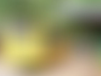 Linha 320 ganha mais viagens e passageiros mais opções de horários