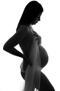 Portrait de femme enceinte réalisé en studio
