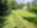 lawn 1.jpg