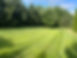 lawn 2.jpg