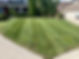 lawn 4.jpg