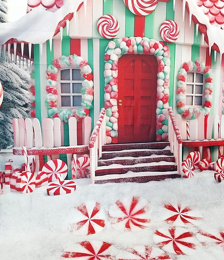 .Peppermint Cottage Holiday Mini Session