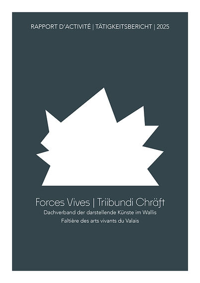 2025_Rapport_activite_FV.jpg