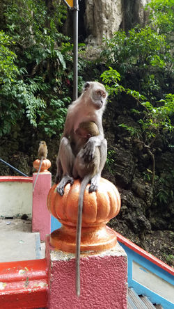 20190403_120917 (1).jpg