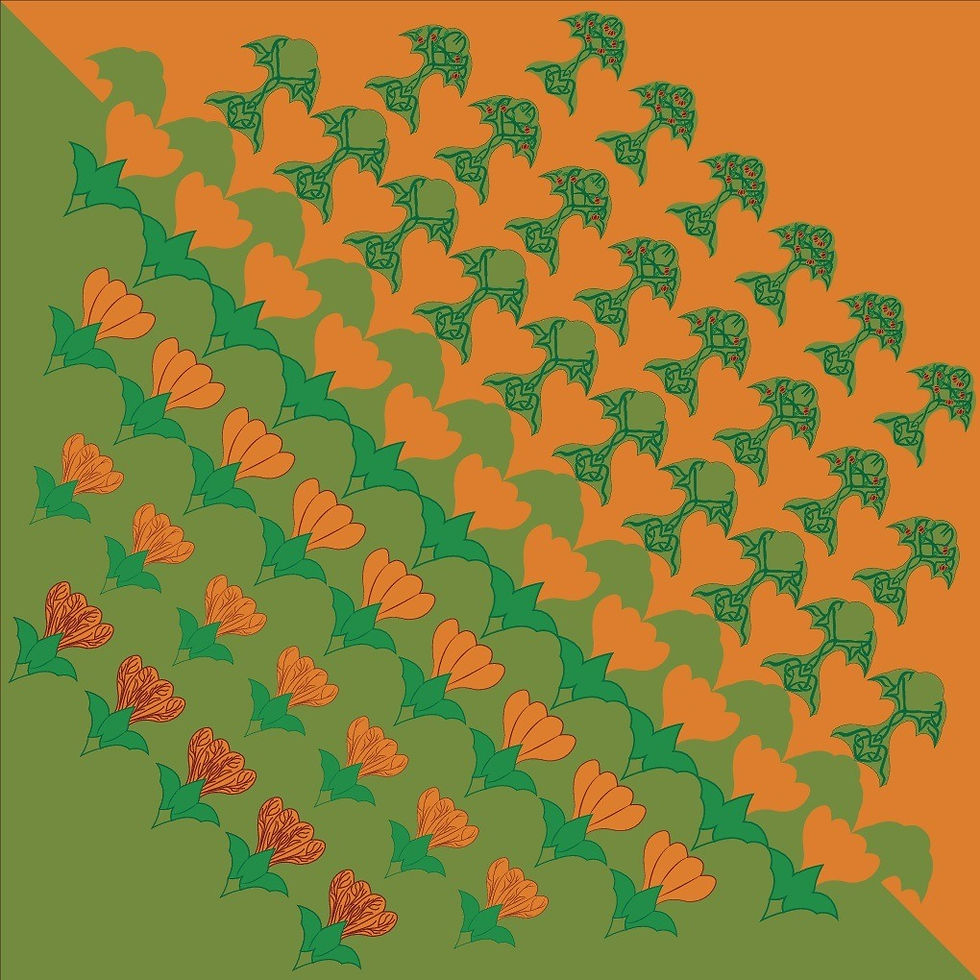 Metamorfosis