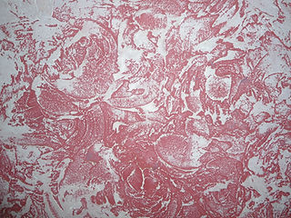 DSC01174.JPG