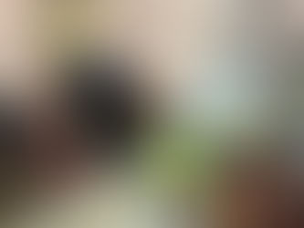 Why We Designed 58 Mayang The Way We Did: A Story of Vision, Risk, and That One Massive Tree