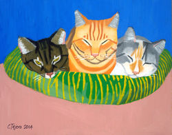 Three Cats