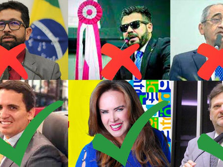 Ação que teve parecer favorável pode causar mudanças na composição dos deputados federais paraenses
