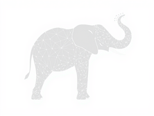 La Revolución Silenciosa: IA en la Autoevaluación Académica