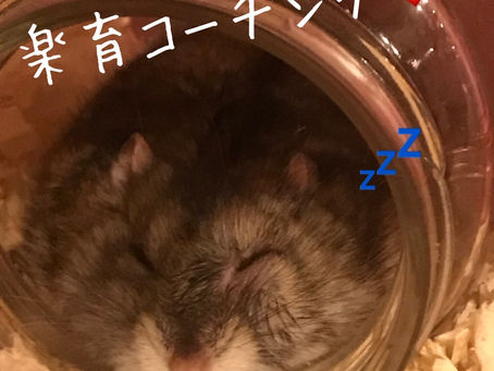 秒でできる!子供の心の満たし方