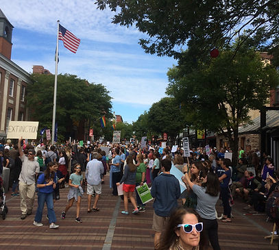 Street demonstrations in support of climate action
