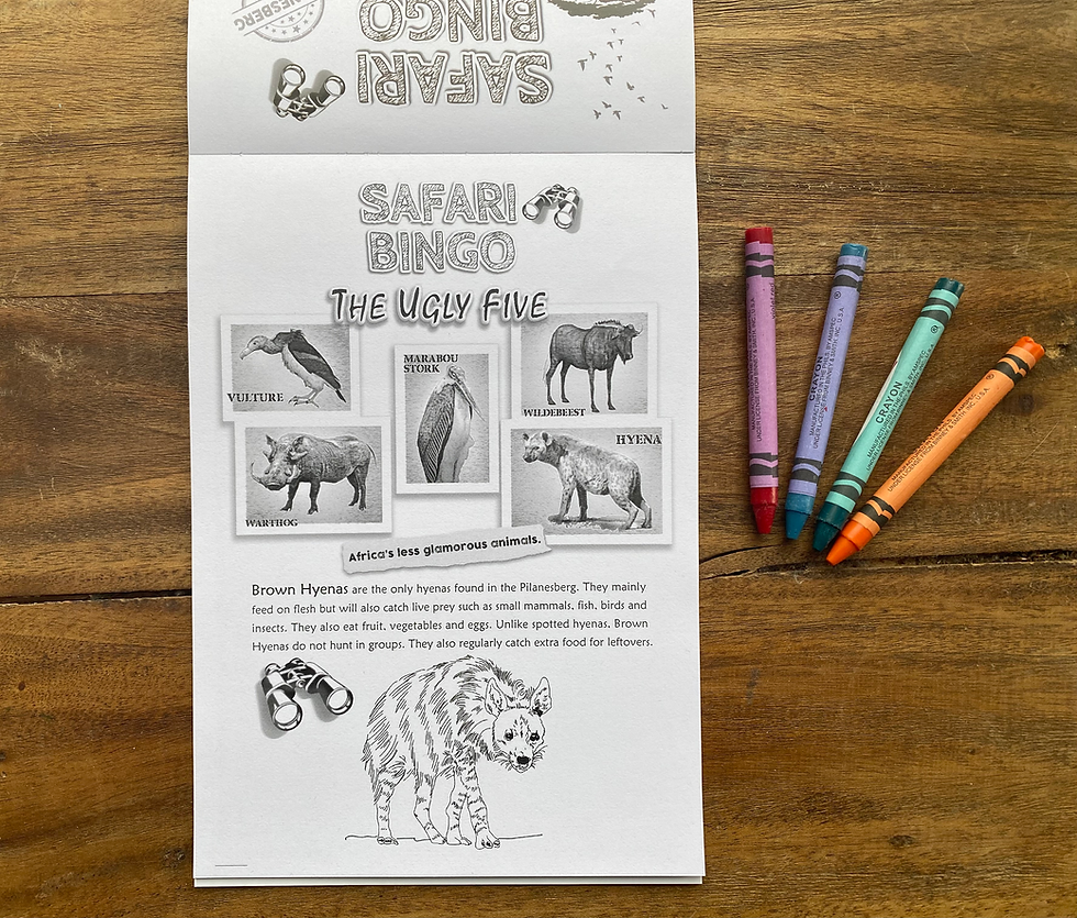 Thumbnail: Safari Bingo: Pilanesberg Edition