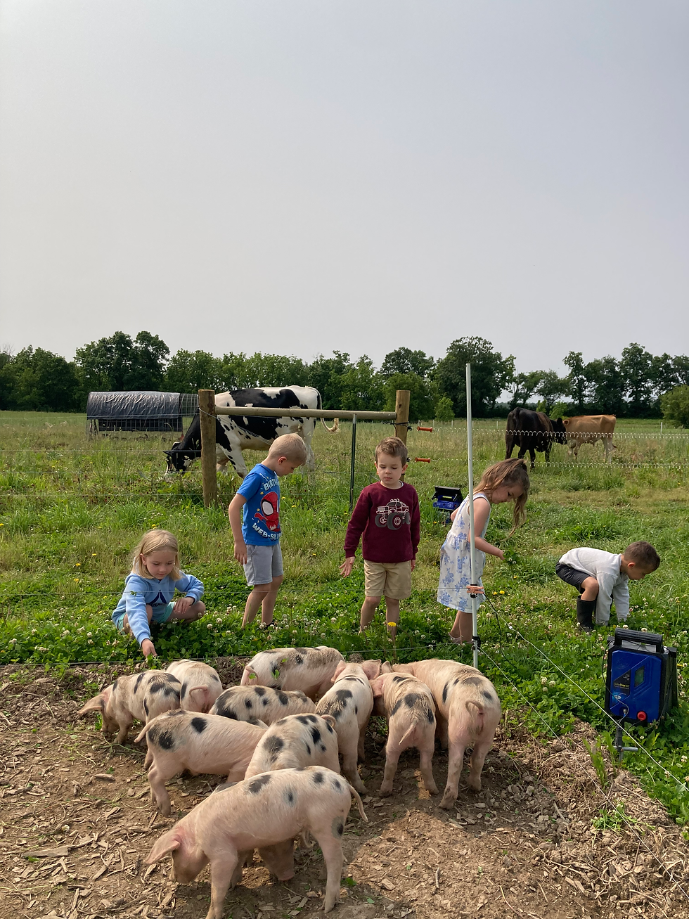 Fun in the sun (ages 3-5)