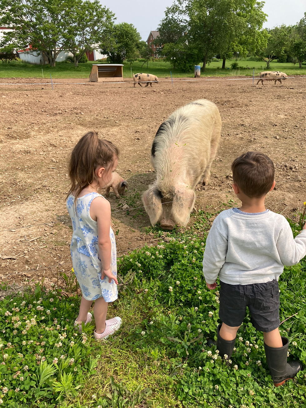 Fun in the sun (ages 5-7)