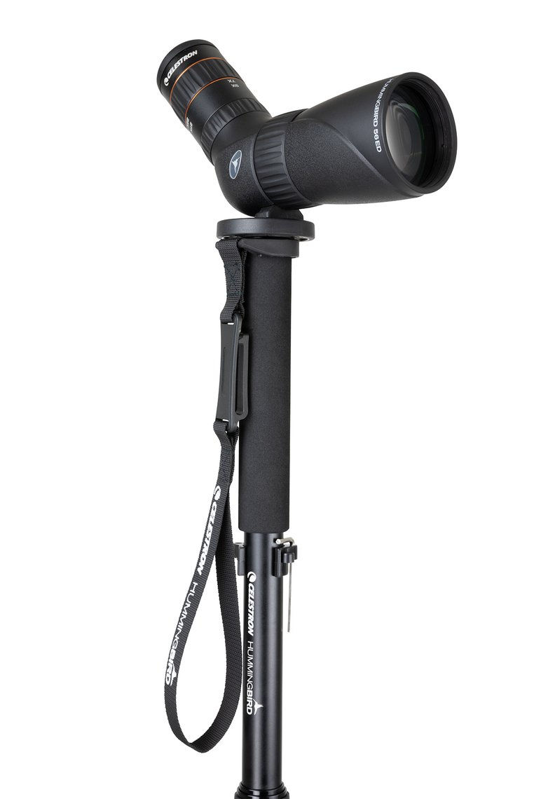 Thumbnail: HUMMINGBIRD MONOPOD