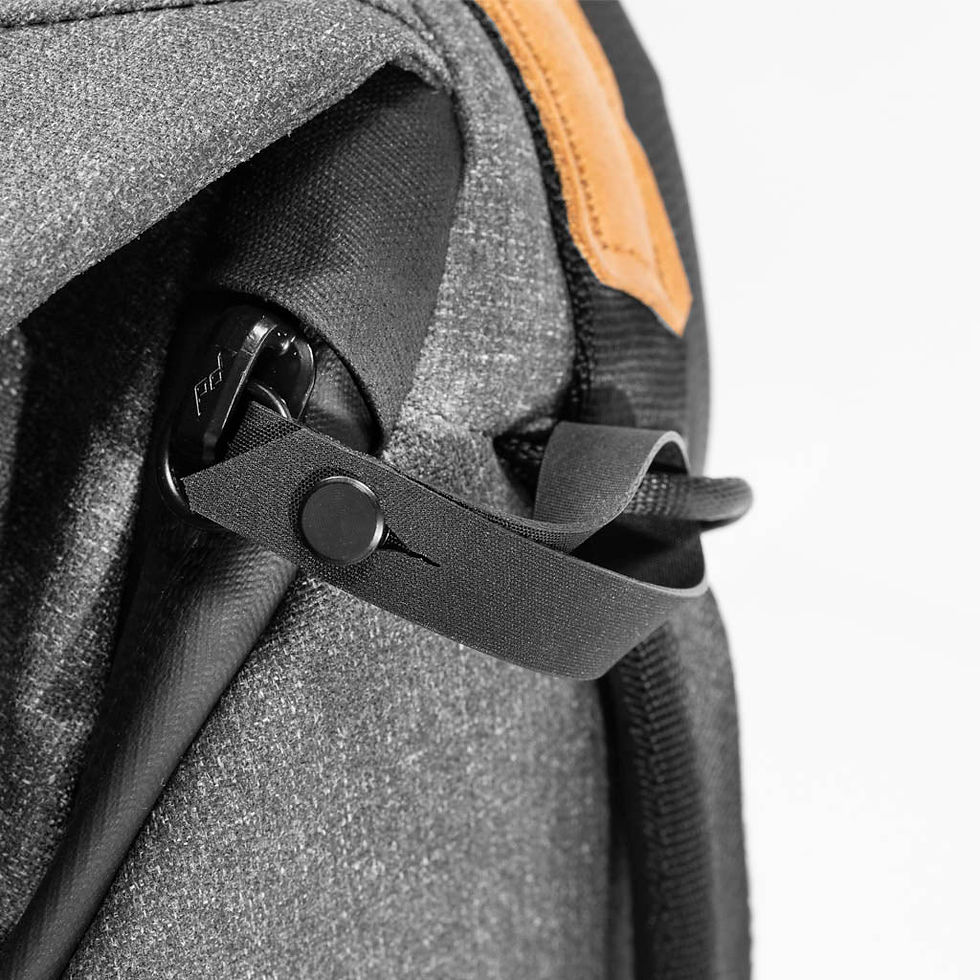 Thumbnail: Peak Design Everyday Backpack 20L