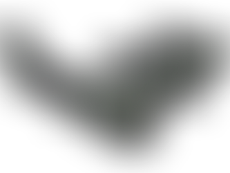 A Birder's High-Flying Marvel