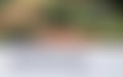 Ley No. 32371, Ley que modifica la Ley 31145, Ley de saneamiento físico-legal y formación de predios rurales a cargo de los gobiernos regionales