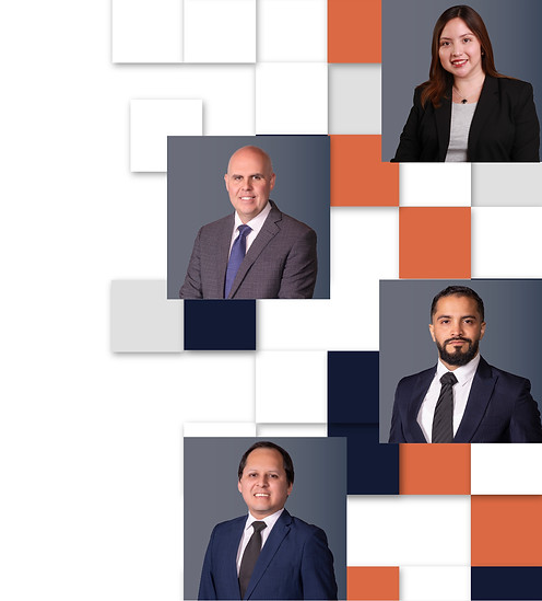 Mesa de trabajo 1-100.jpg