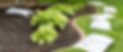 content-mulch-being-added-to-a-landscape-bed.jpg