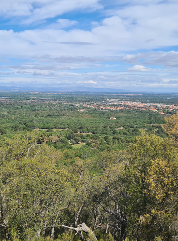 Vue panoramique sur la plaine du Roussillon jusqu'aux Corbières