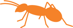ant orange.png