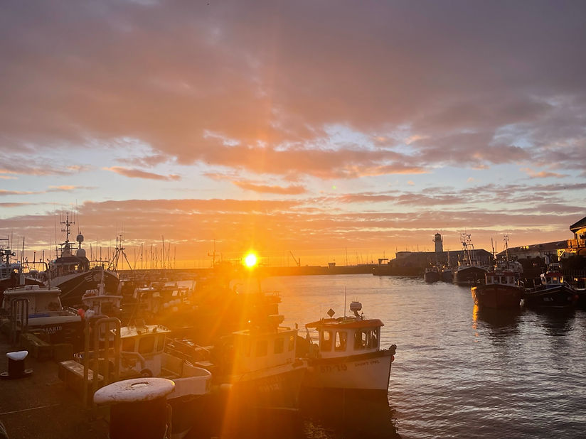 Scarborough Guide