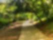 Peasholm Glen.jpg