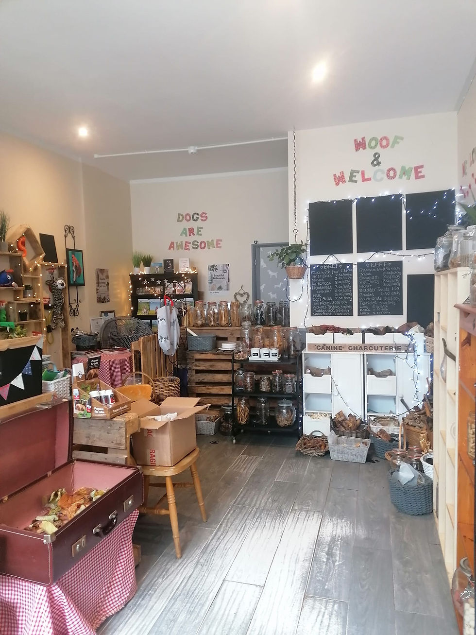 Purple Pup Dog Shop