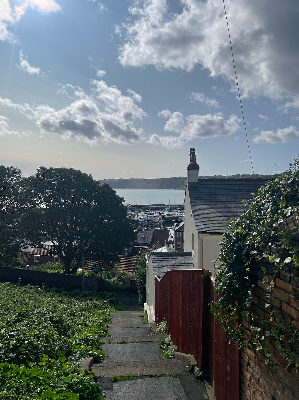 Scarborough Heritage Trail DOg & Duck Lane