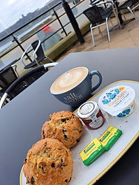 Dog-friendly Scarborough