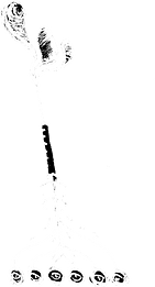 other work on webpage visuals 2v2_edited