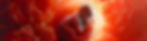 2151663991.jpg