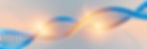 26902.jpg