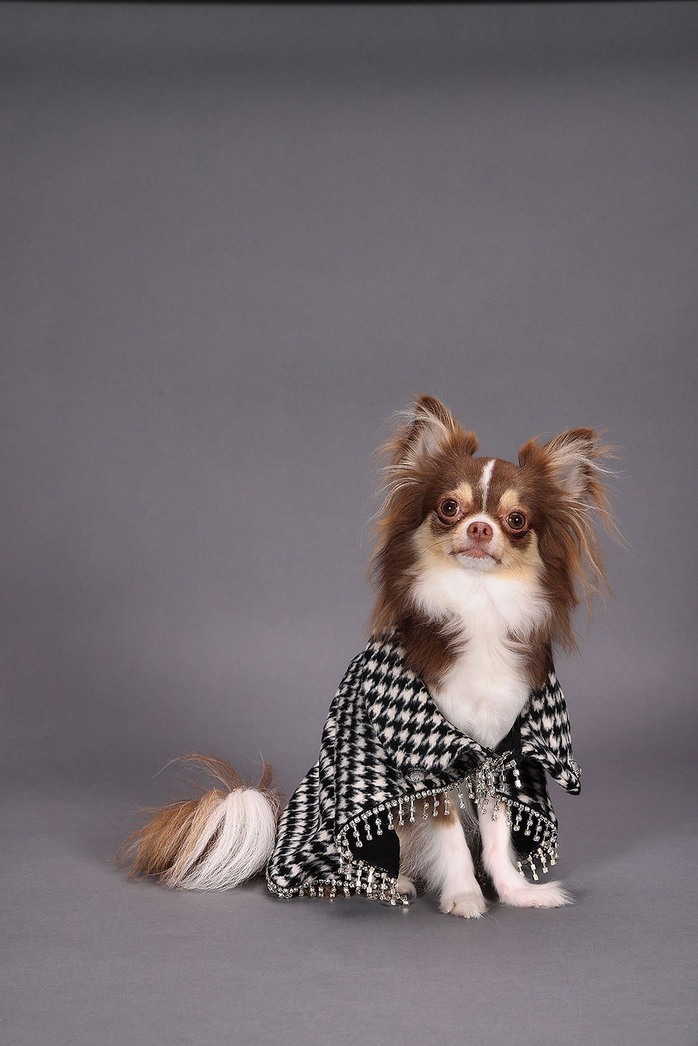 Thumbnail: Houndstooth Crystal Black