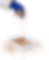 SOANE SWELL CAT LITTER 02_edited.png