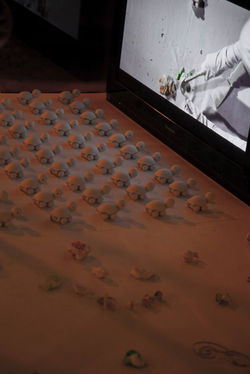 ly installation 1.jpg