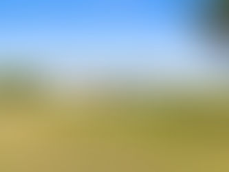 🏡 What Inspections Should I Get Before Closing on a Home in North Carolina?