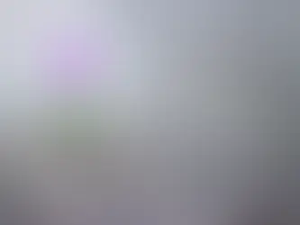 Find your way to grow