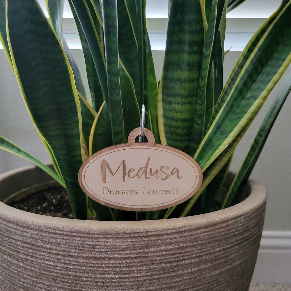 Thumbnail: Signature Script Custom Tag — Hanging