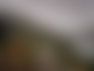 House overlooking ocean view