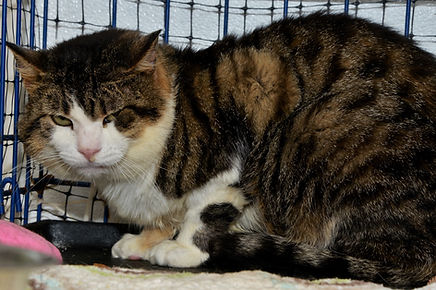 Archie(1)-0607-19.JPG